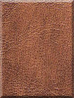 color sample photo enlarger